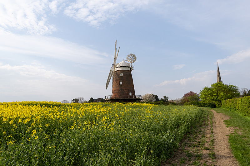 Thaxted 02