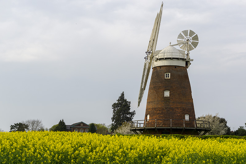 Thaxted 03