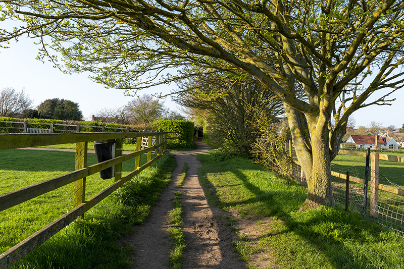 Thaxted 05
