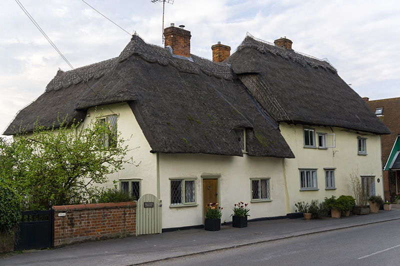 Thaxted 51